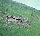 Ferme (chalet d'estive)