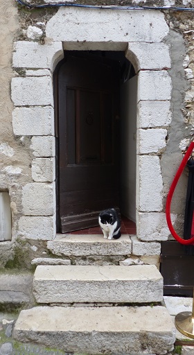 Maison (2022 AY 255). Porte du logis avec encadrement en pierre de taille calcaire à linteau sur coussinets avec les arêtes vives.