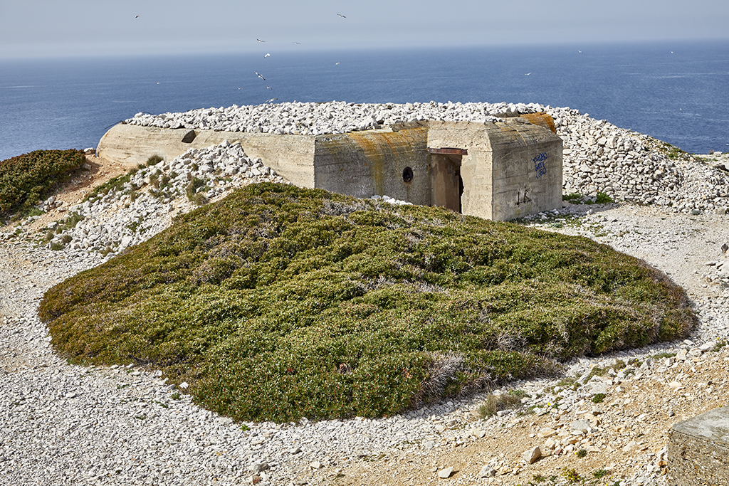 Vue arrière de la casemate allemande M272 au sud du front sud-ouest 