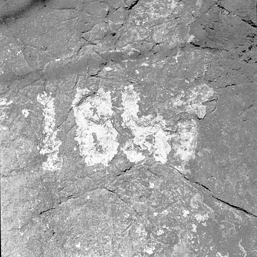 Bergerie de Bérengier (1841 B3 345). Date inscrite sur la paroi rocheuse : 1861.