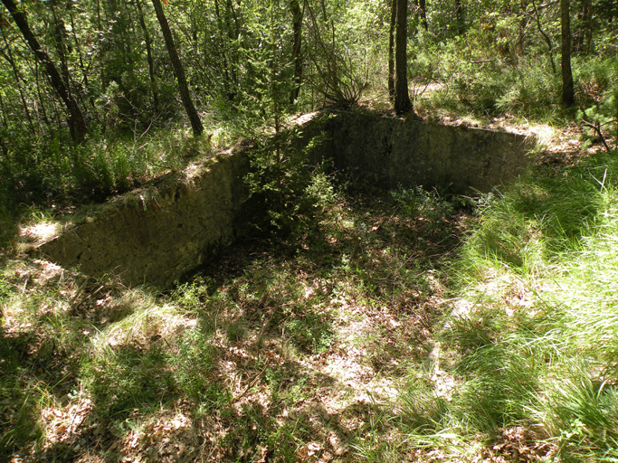 Pépinière des Plaines, bassin d'arrosage.