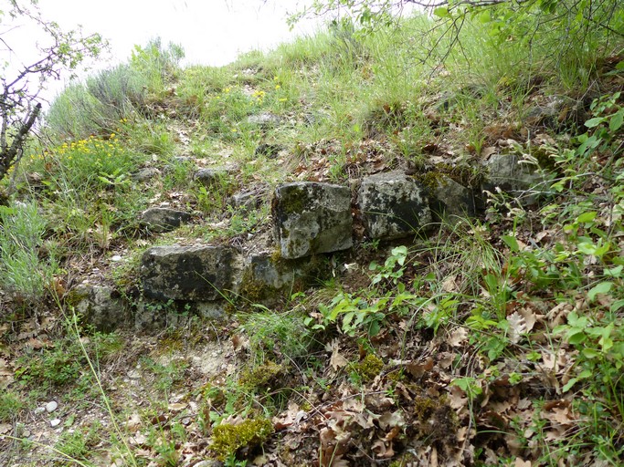 Site castral de Châteauneuf. Extrémité sud-est de la plate-forme, relief de maçonnerie en petit appareil.