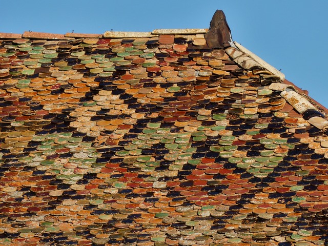 Bâtiment principal. Toit, versant sud. Couverture polychrome en tuiles écailles.