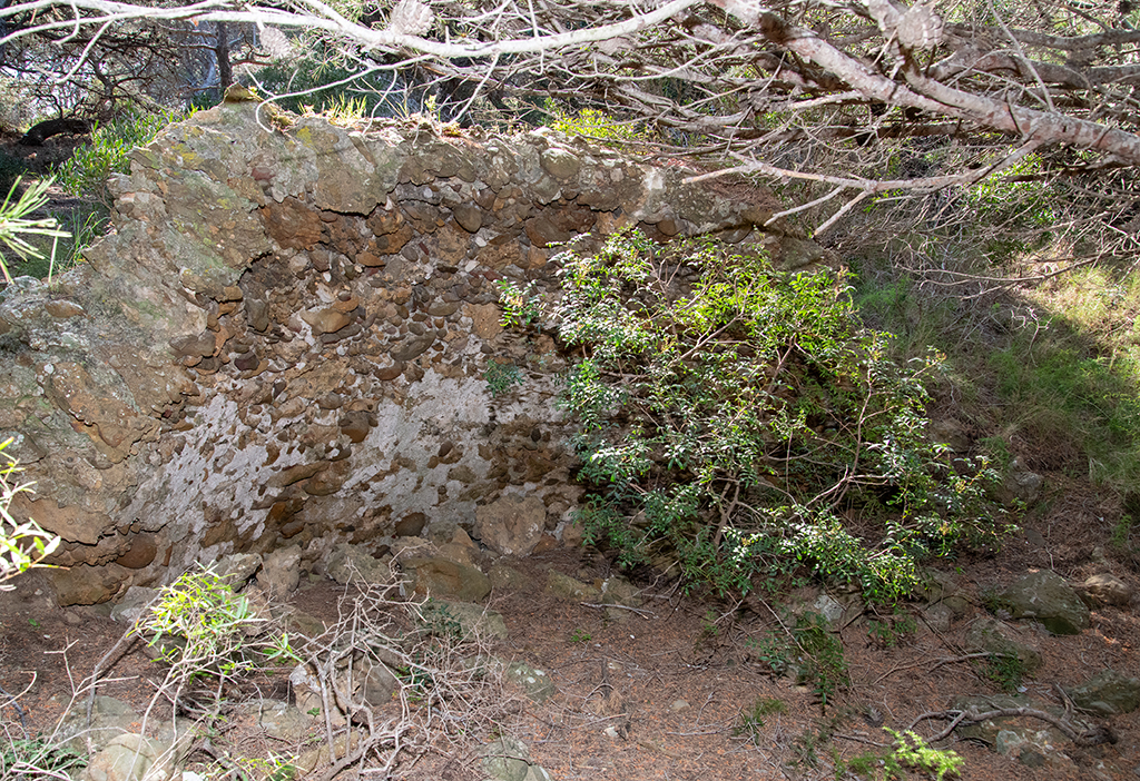 Vestige d'une petite construction circulaire isolée au nord de l'ïle et à l'ouest de l'anse Saint Pierre