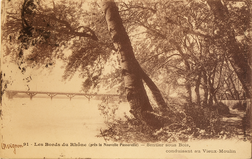 pont de bois d'Avignon dit aussi pont de chevalets ou pont Bonaparte