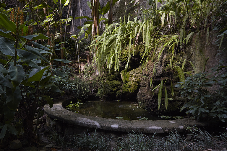 Jardin des plantes de milieu tropical forestier : vue de volume de la fontaine conçue par Humphrey Waterfield.