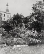 jardin d'agrément de la Villa Alexandra
