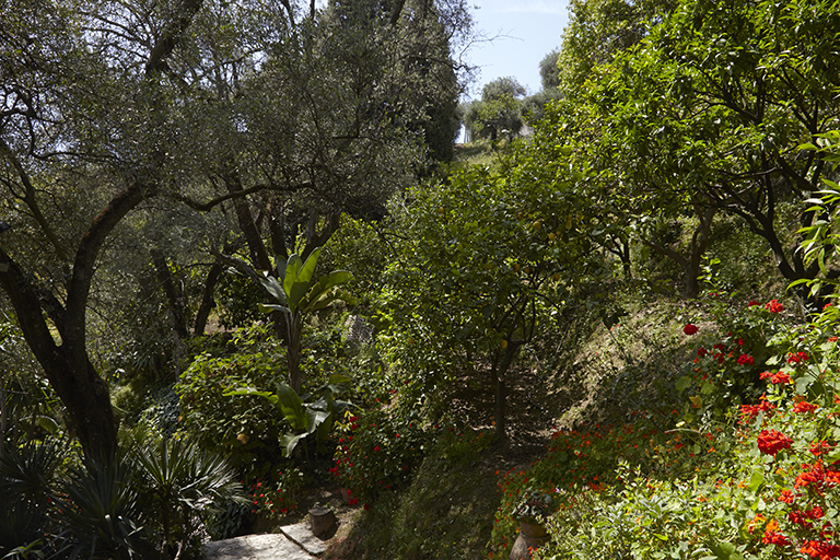 Verger et jardin d'agrément : La Citronneraie