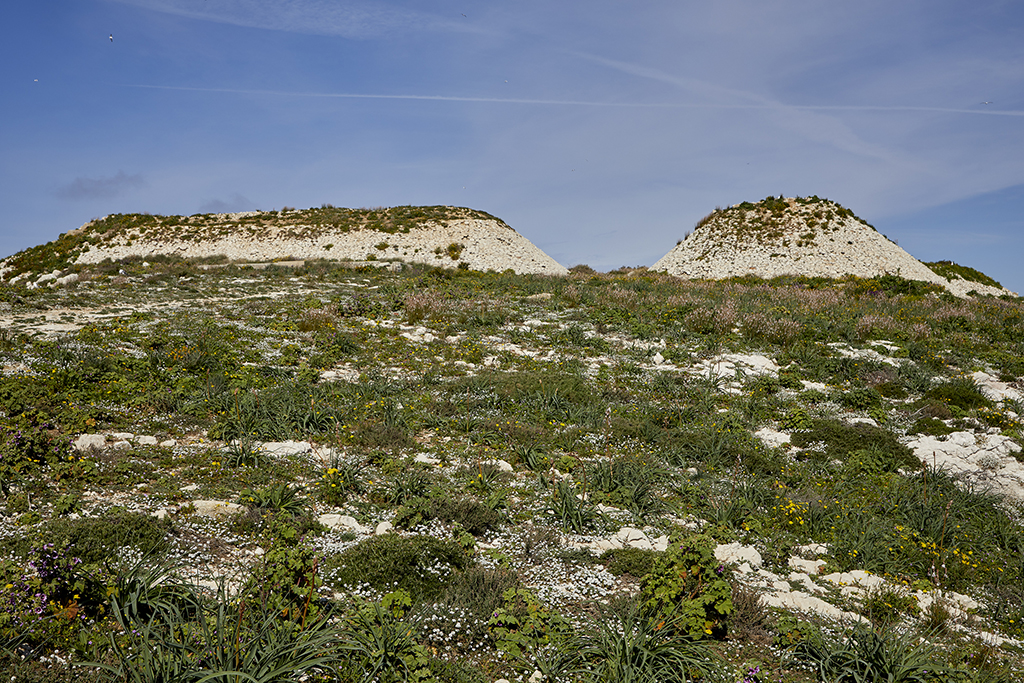Front d'entrée de la batterie, parados en pierre sèche et entrée, vus de l'Est 