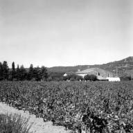 Ferme dite Bastide Marafiance