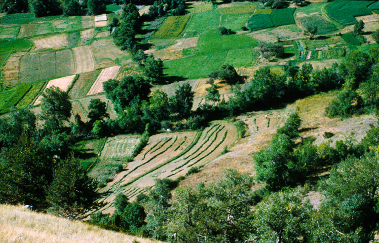 présentation de la commune de Saint-Martin-de-Queyrières