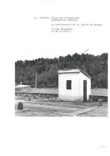 coopérative vinicole