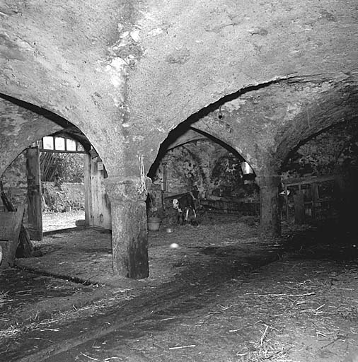 Saint-Eusèbe-en-Champsaur. La Linsourière, parcelles 286-288.. L'étable voûtée d'arêtes.