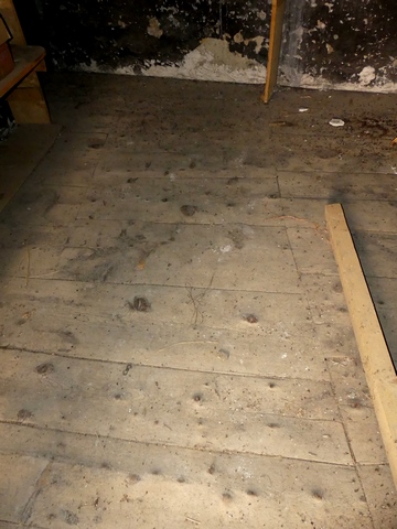 Rez-de-chaussée surélevé, cuisine. Plancher en résineux (pin sylvestre ?).