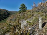 borne seigneuriale du Pas du Terme