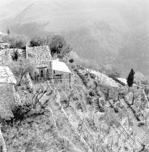 Terrasses Agricoles