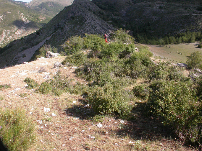 bourg castral de Tartonne