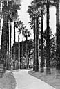 jardin d'agrément de la Villa Camille-Amélie