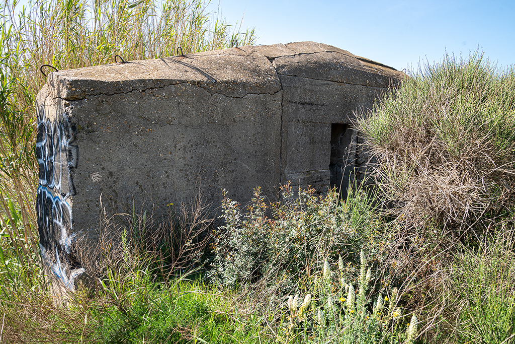 casemate abri type Regelbau 656, contrefort latéral gauche du mur de gorge et porte du tobrouk intégré