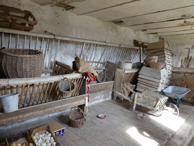 Bâtiment de la remise-étable-laiterie. Rez-de-chaussée, étable. Mur ouest.