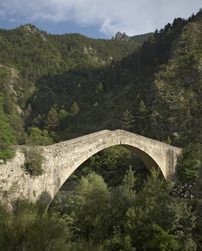 pont de la reine Jeanne (ou pont de Saint-Benoît)