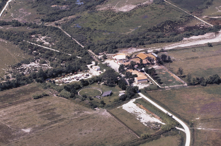 arènes du Mas de la Bélugue (arènes N° 1)