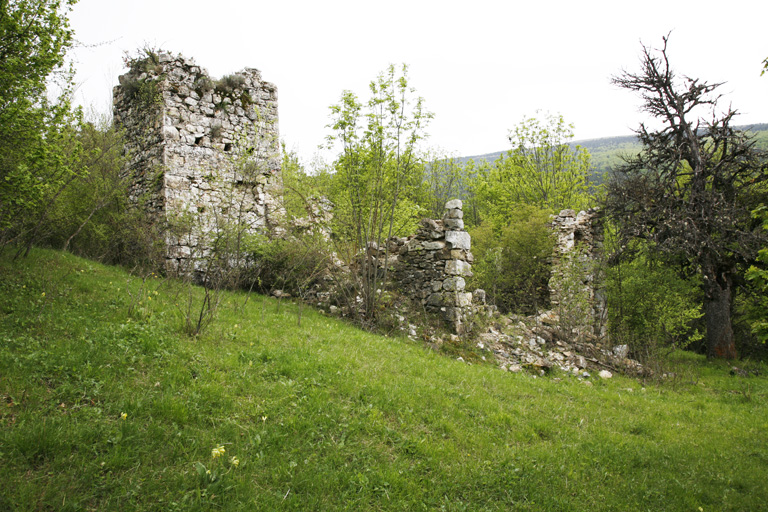 Ruines de la chapelle Saint-Martin et tour "des Templiers".