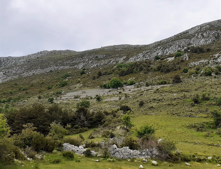 Vue de situation prise du sud-est. 