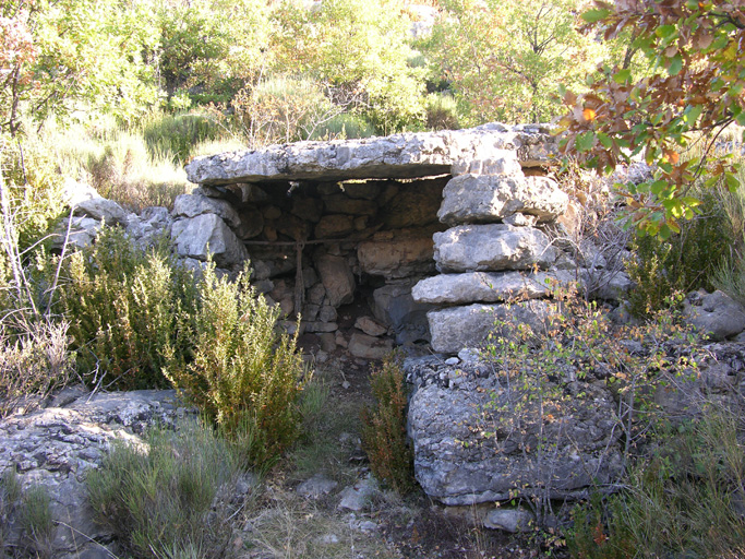 cabane