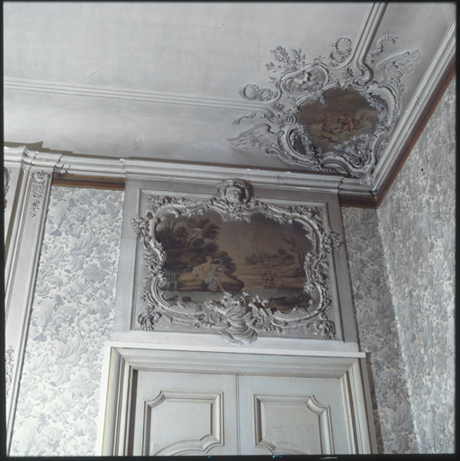 ensemble du décor du salon : dessus-de-porte ; dessus-de-fenêtre ; frise ; trumeau de cheminée