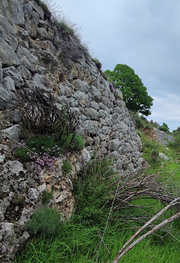 Mur de soutènement de la quatrième terrasse agricole, escalier engagé. 