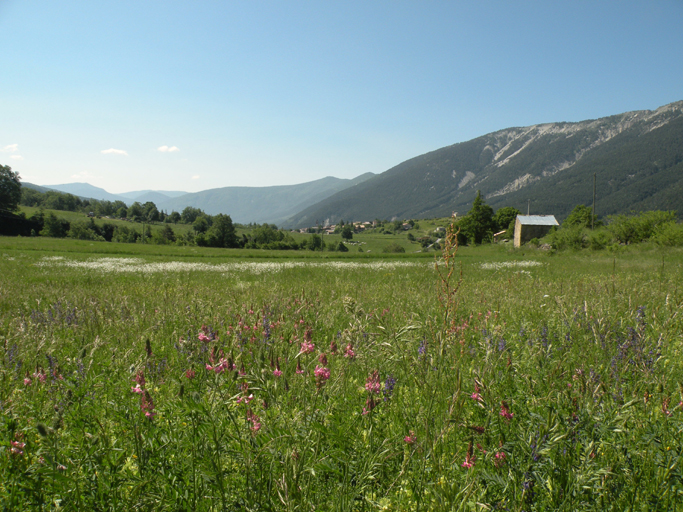 Prés de fauche au quartier des Villars.