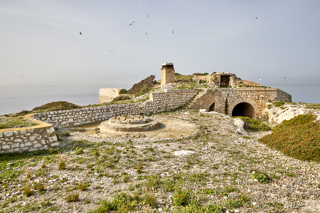 Position de tir n° 2 de la batterie ouest, vue prise de l'est, au fond la traverse-abri (j)