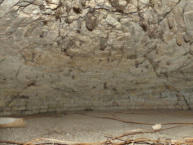 Bâtiment du pigeonnier. Rez-de-chaussée surélevé, coupole du four à pain.