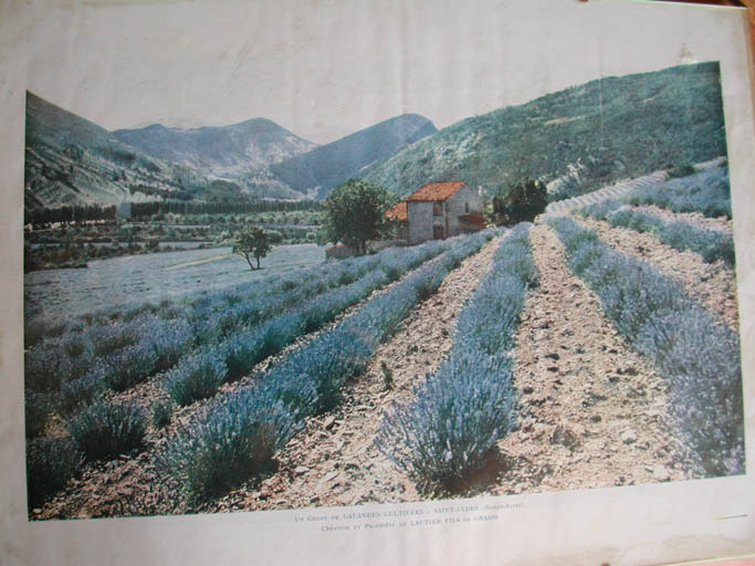 Ferme dite La Bastide du Plan