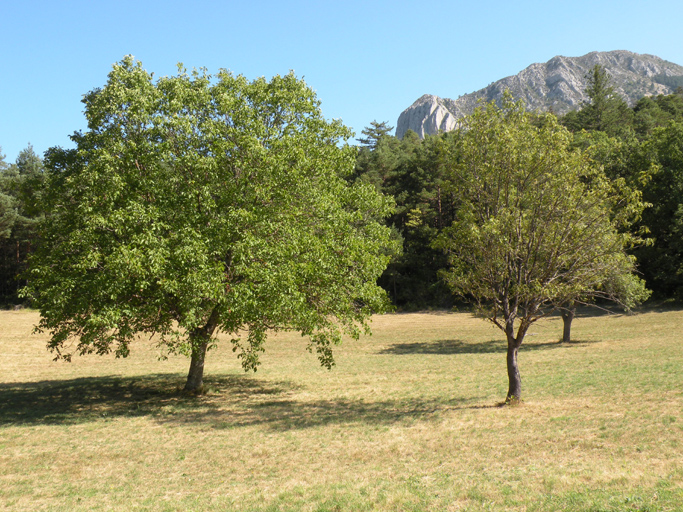 présentation de la commune de La Garde