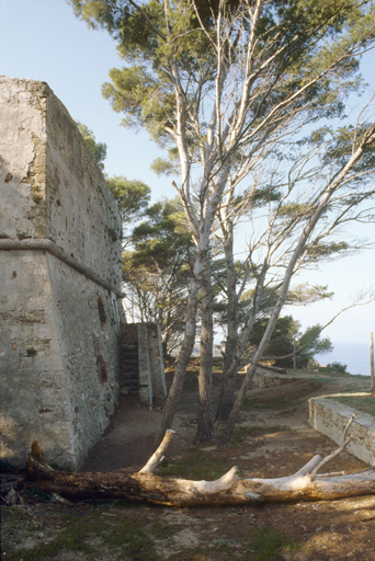 Face nord de la tour. Escalierd'accès et porte, surmontée des corbeaux de l'ancienne bretèche. A droite, parapet du front de mer, modifié pour l'artillerie de côte.