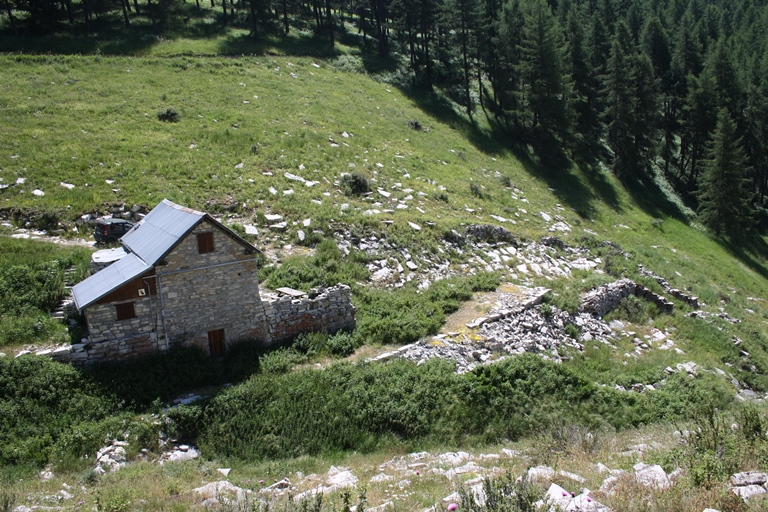 Ensemble pastoral dit cabane de l'Orgéas (parcelle B 782).