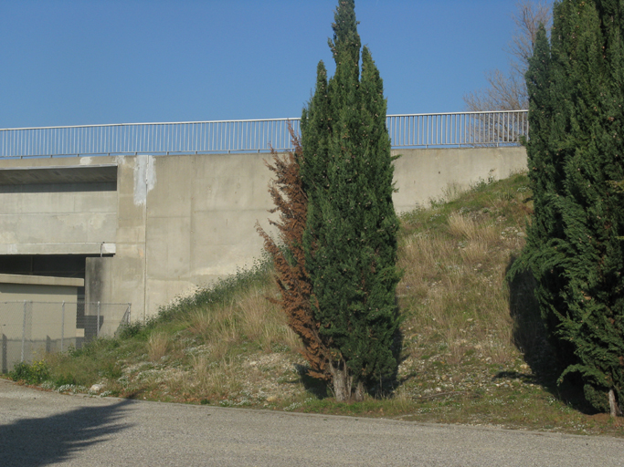 barrage mobile de Caderousse, pont routier