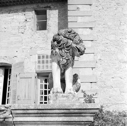 Terrasse des lions, lion est vu en contre plongée.