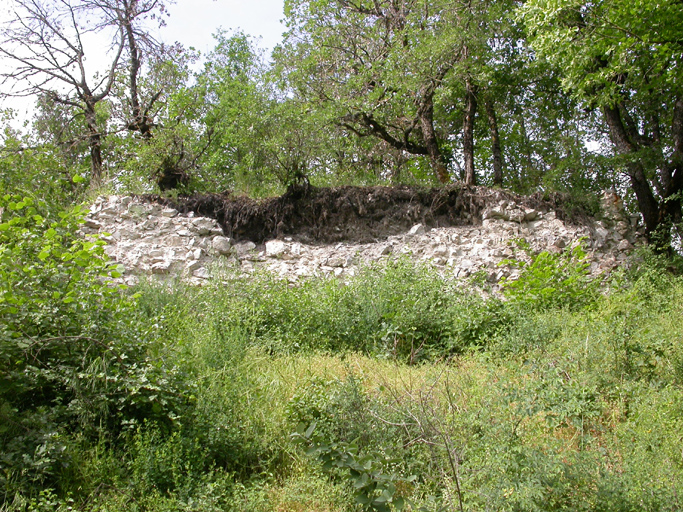 bourg castral de Barrême