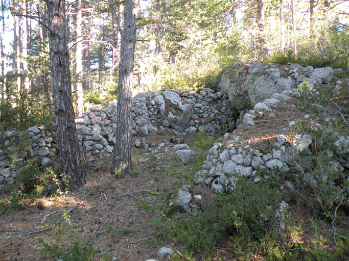 cabane