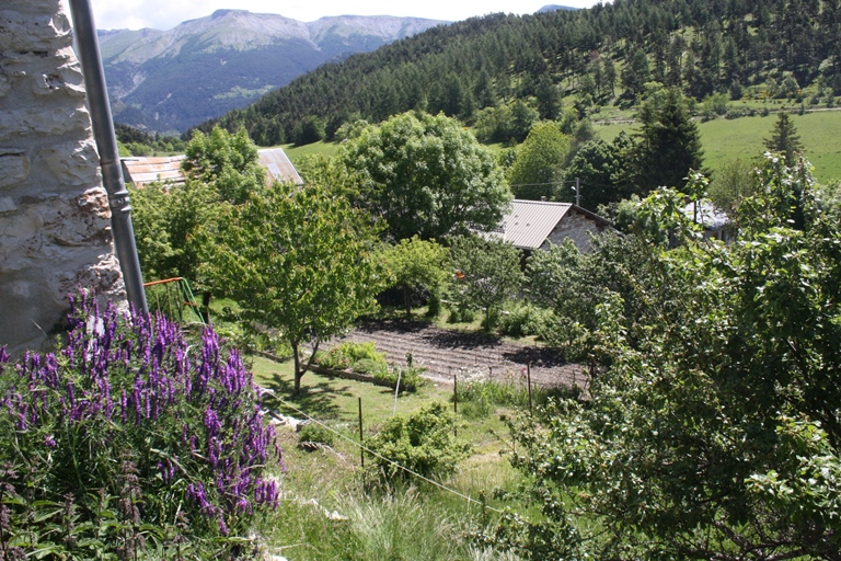 Dans l'écart au bâti très lâche, les jardins potagers sont nombreux.