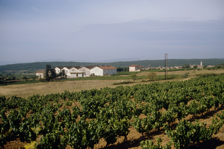coopérative vinicole La Tavernaise