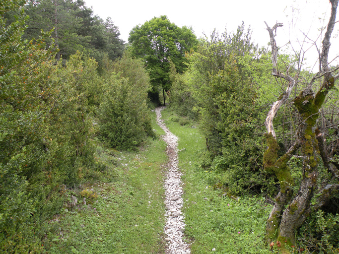 Chemin d'Ubraye à la Sagne, dit le grand chemin.