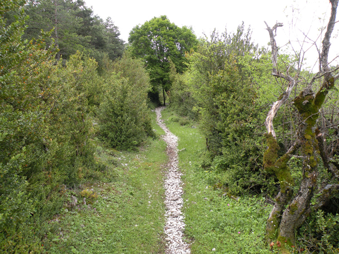 présentation de la commune d'Ubraye