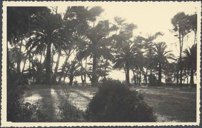 jardin d'agrément de la Villa du Cap