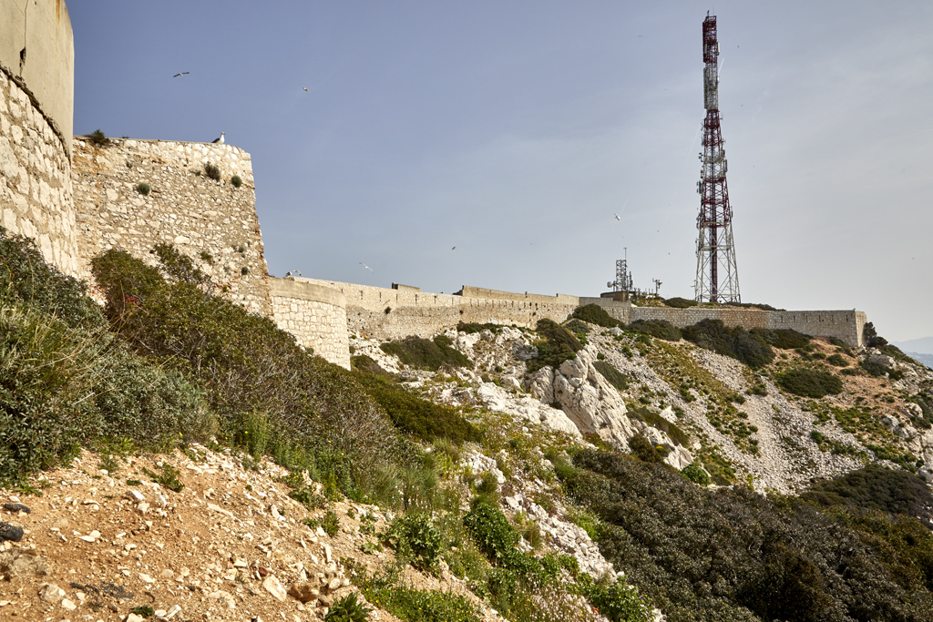 Front sud, partie médiane rentrante du revêtement vues de l'ouest, entre la batteries n° 1-2 et la batterie sud-est n° 3-4