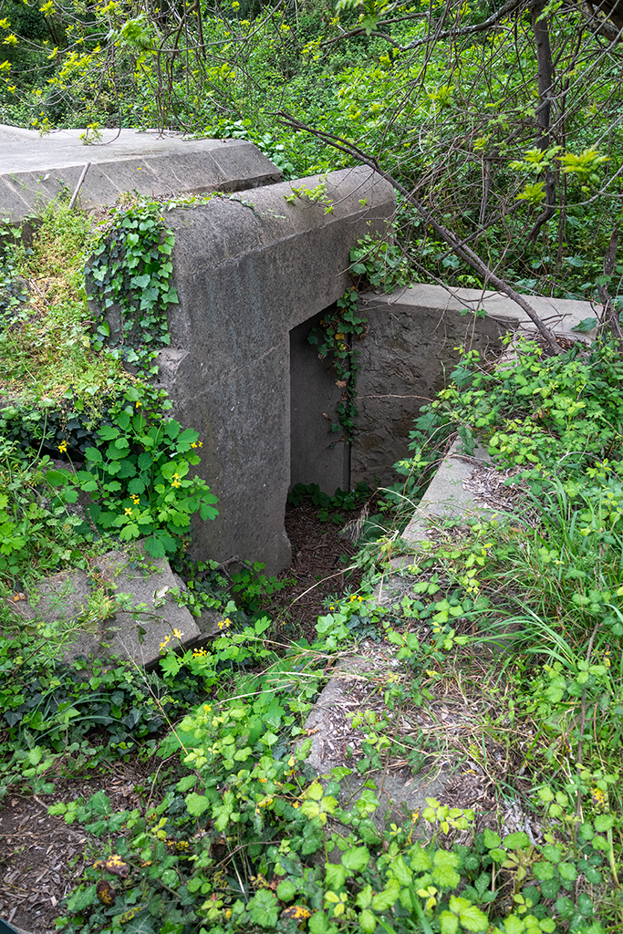 Verrou du Pont-de-Joux, Tobrouk type Vf 65a , porte