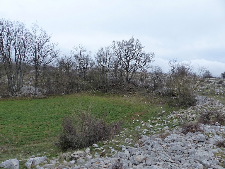 Ancienne doline cultivée (1841 E4 315).